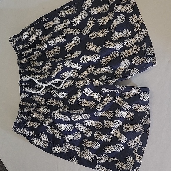 Trunks Swim Men's  Shorts Size Medium - Picture 1 of 5